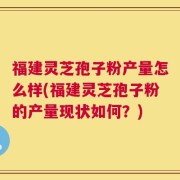 福建灵芝孢子粉产量怎么样(福建灵芝孢子粉的产量现状如何？)