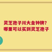 灵芝孢子川大金钟牌？哪里可以买到灵芝孢子