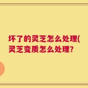 坏了的灵芝怎么处理(灵芝变质怎么处理？
