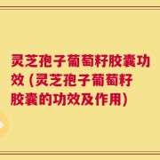 灵芝孢子葡萄籽胶囊功效 (灵芝孢子葡萄籽胶囊的功效及作用)
