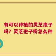 有可以种植的灵芝孢子吗？灵芝孢子粉怎么种