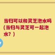 当归可以和灵芝泡水吗(当归与灵芝可一起泡水？)
