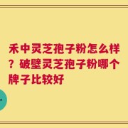 禾中灵芝孢子粉怎么样？破壁灵芝孢子粉哪个牌子比较好