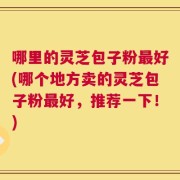 哪里的灵芝包子粉最好(哪个地方卖的灵芝包子粉最好，推荐一下！)