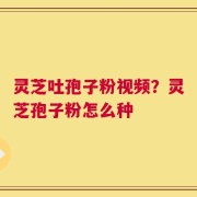 灵芝吐孢子粉视频？灵芝孢子粉怎么种