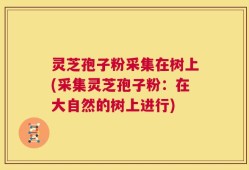 灵芝孢子粉采集在树上(采集灵芝孢子粉：在大自然的树上进行)