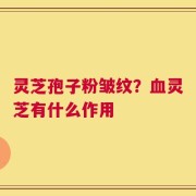 灵芝孢子粉皱纹？血灵芝有什么作用