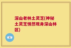 深山老林土灵芝(神秘土灵芝悄然现身深山林区)