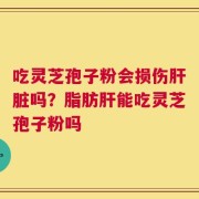 吃灵芝孢子粉会损伤肝脏吗？脂肪肝能吃灵芝孢子粉吗