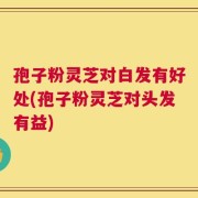 孢子粉灵芝对白发有好处(孢子粉灵芝对头发有益)