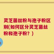 灵芝菌丝粉与孢子粉区别(如何区分灵芝菌丝粉和孢子粉？)