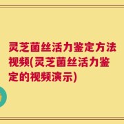 灵芝菌丝活力鉴定方法视频(灵芝菌丝活力鉴定的视频演示)