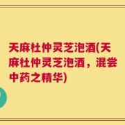 天麻杜仲灵芝泡酒(天麻杜仲灵芝泡酒，混尝中药之精华)