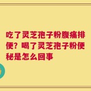 吃了灵芝孢子粉腹痛排便？喝了灵芝孢子粉便秘是怎么回事