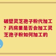 破壁灵芝孢子粉代加工？药房里是否会加工灵芝孢子粉如何加工的