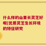什么样的山里长灵芝好呢(优质灵芝生长环境的特征研究