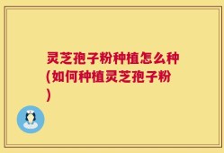 灵芝孢子粉种植怎么种(如何种植灵芝孢子粉)