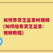 如何养灵芝盆景树视频(如何培育灵芝盆景：视频教程)