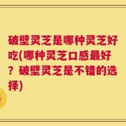 破壁灵芝是哪种灵芝好吃(哪种灵芝口感最好？破壁灵芝是不错的选择)