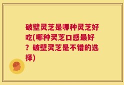 破壁灵芝是哪种灵芝好吃(哪种灵芝口感最好？破壁灵芝是不错的选择)