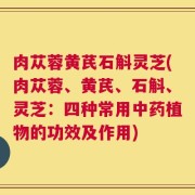 肉苁蓉黄芪石斛灵芝(肉苁蓉、黄芪、石斛、灵芝：四种常用中药植物的功效及作用)