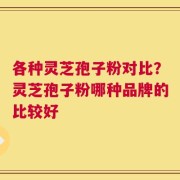 各种灵芝孢子粉对比？灵芝孢子粉哪种品牌的比较好
