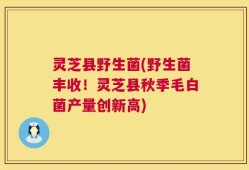 灵芝县野生菌(野生菌丰收！灵芝县秋季毛白菌产量创新高)