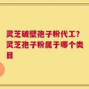 灵芝破壁孢子粉代工？灵芝孢子粉属于哪个类目