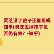 灵芝没了孢子还能用吗知乎(灵芝去掉孢子是否仍有效？-知乎)