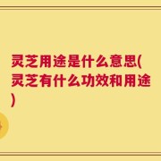 灵芝用途是什么意思(灵芝有什么功效和用途)