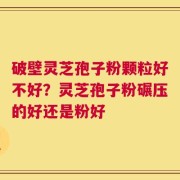破壁灵芝孢子粉颗粒好不好？灵芝孢子粉碾压的好还是粉好