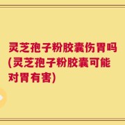 灵芝孢子粉胶囊伤胃吗(灵芝孢子粉胶囊可能对胃有害)