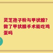 灵芝孢子粉与甲状腺？做了甲状腺手术能吃鸡蛋吗