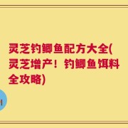 灵芝钓鲫鱼配方大全(灵芝增产！钓鲫鱼饵料全攻略)