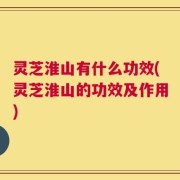 灵芝淮山有什么功效(灵芝淮山的功效及作用)