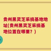 贵州黑灵芝采摘基地地址(贵州黑灵芝采摘基地位置在哪里？)