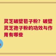 灵芝破壁苞子粉？破壁灵芝孢子粉的功效与作用有哪些