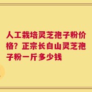 人工栽培灵芝孢子粉价格？正宗长白山灵芝孢子粉一斤多少钱