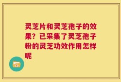 灵芝片和灵芝孢子的效果？已采集了灵芝孢子粉的灵芝功效作用怎样呢