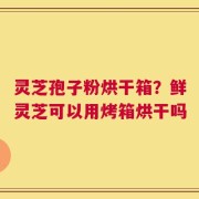 灵芝孢子粉烘干箱？鲜灵芝可以用烤箱烘干吗