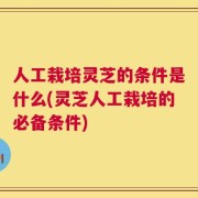 人工栽培灵芝的条件是什么(灵芝人工栽培的必备条件)