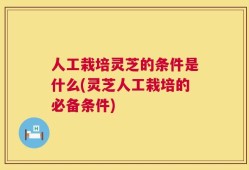 人工栽培灵芝的条件是什么(灵芝人工栽培的必备条件)