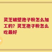 灵芝破壁孢子粉怎么加工的？灵芝孢子粉怎么吃最好