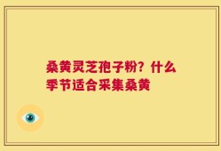 桑黄灵芝孢子粉？什么季节适合采集桑黄