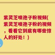 紫灵芝喷孢子粉视频(紫灵芝喷孢子粉的视频，看看它到底有哪些惊人的好处！)