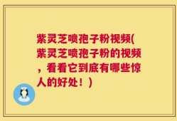 紫灵芝喷孢子粉视频(紫灵芝喷孢子粉的视频，看看它到底有哪些惊人的好处！)