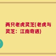 两只老虎灵芝(老虎与灵芝：江南奇遇)