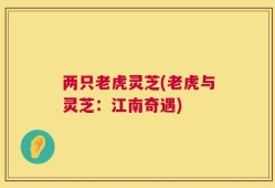 两只老虎灵芝(老虎与灵芝：江南奇遇)