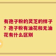 有孢子粉的灵芝的样子？孢子粉有油花和无油花有什么区别