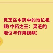 灵芝在中药中的地位视频(中药之王：灵芝的地位与作用视频)